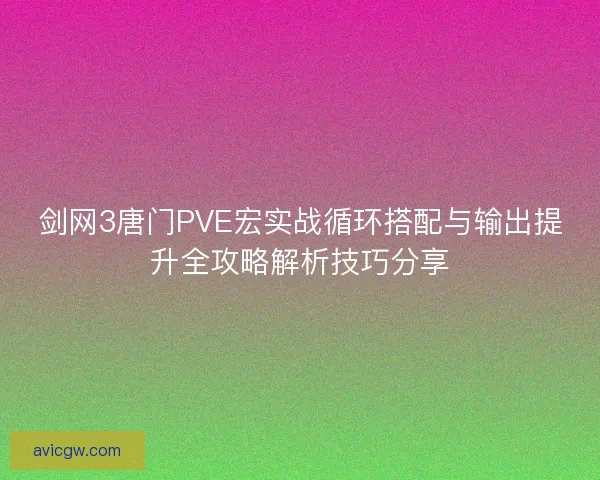 剑网3唐门PVE宏实战循环搭配与输出提升全攻略解析技巧分享