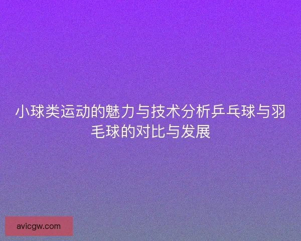 小球类运动的魅力与技术分析乒乓球与羽毛球的对比与发展