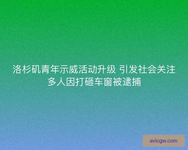 洛杉矶青年示威活动升级 引发社会关注多人因打砸车窗被逮捕