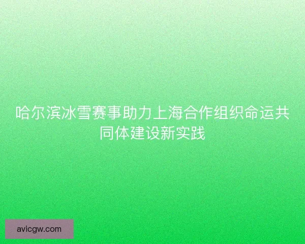 哈尔滨冰雪赛事助力上海合作组织命运共同体建设新实践