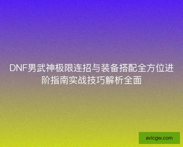 DNF男武神极限连招与装备搭配全方位进阶指南实战技巧解析全面
